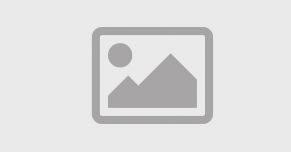 LEADS: обзор рынка