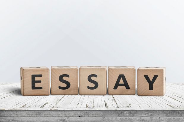 Essay ниша что это. Смотреть фото Essay ниша что это. Смотреть картинку Essay ниша что это. Картинка про Essay ниша что это. Фото Essay ниша что это