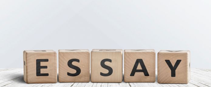 Essay-ниша: на каких типах работ можно заработать больше всего?