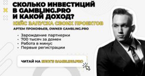 Сколько инвестиций в Gambling.pro и какой доход. Кейс запуска своих проектов.