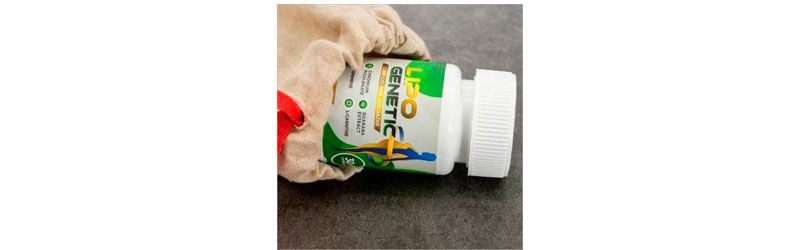 На что лить летом 2022? Дельные советы для новичка и профи