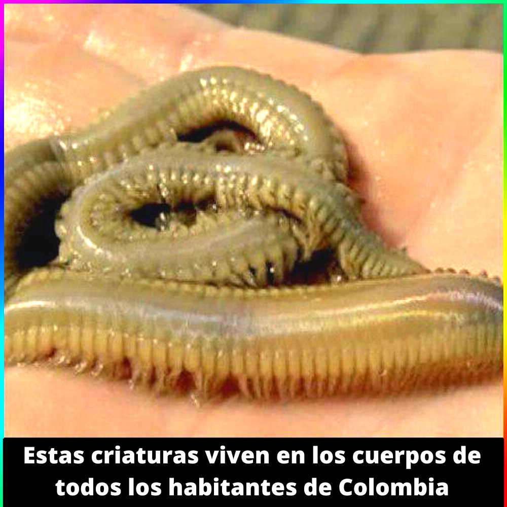 Бери и лей: КЕЙС 10 170 долларов с FB на Колумбию