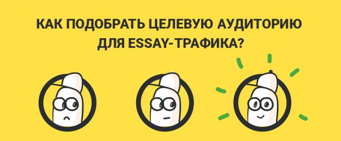 Как подобрать целевую аудиторию для essay-трафика?