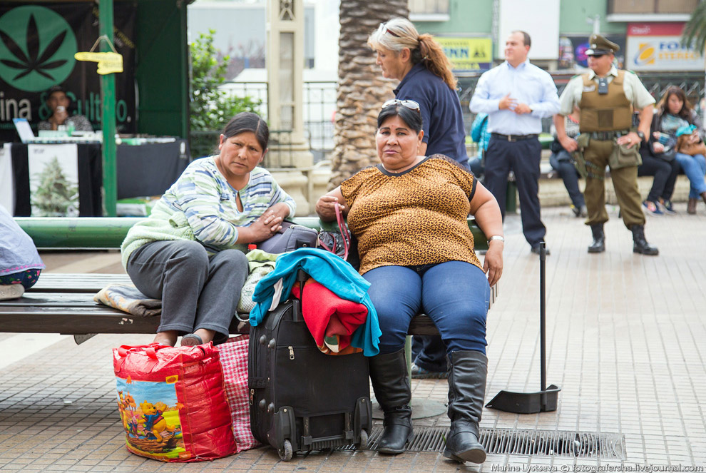 Что нужно знать, чтобы профитно лить на Чили
