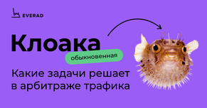 Клоака: какие задачи решает в арбитраже трафика