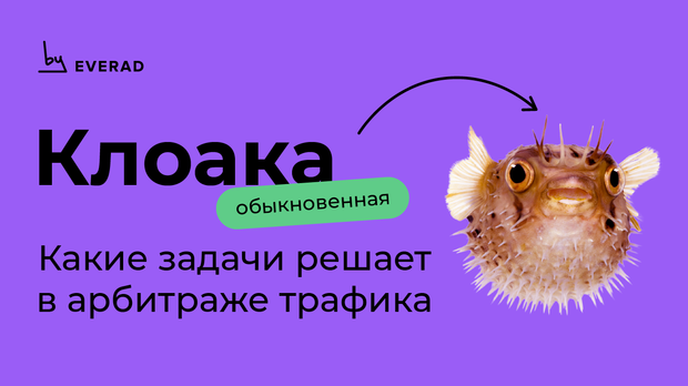 Клоака: какие задачи решает в арбитраже трафика