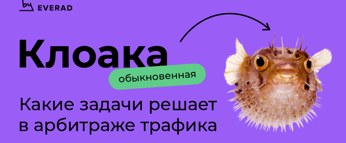 Клоака: какие задачи решает в арбитраже трафика
