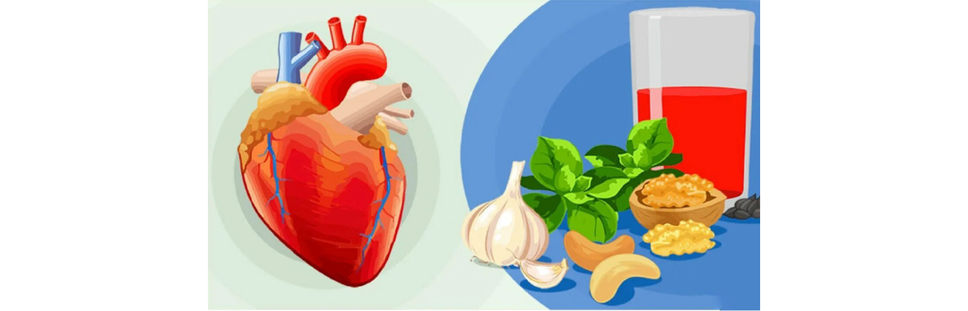 Обзор ниши: здоровье сердечно-сосудистой системы