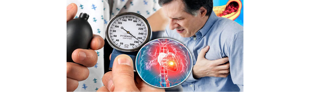 Обзор ниши: здоровье сердечно-сосудистой системы