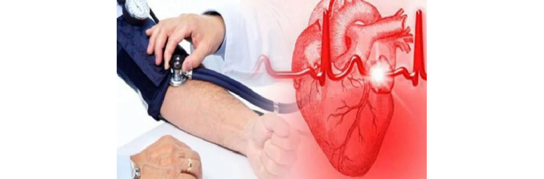 Обзор ниши: здоровье сердечно-сосудистой системы