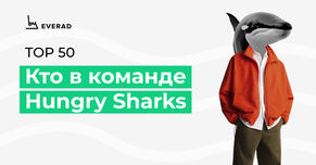 Знакомимся с командой Hungry Sharks!