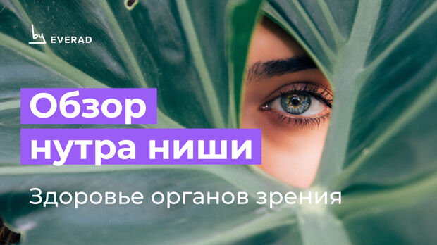 Обзор ниши: Здоровье органов зрения
