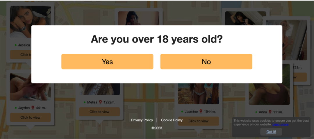 Social Survey: зарабатываем на знакомствах