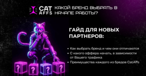 Как выбрать бренд? Отличия брендов CatAffs и их преимущества