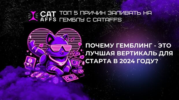 Лучшая вертикаль для старта в 2024 году. ТОП 5 причин