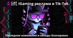 Реклама гемблинга в TikTok 2024: новые правила. Как заливать на гемблу без блокировок