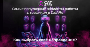 Самые популярные варианты работы с трафиком у партнёров в CatAffs. Как выбрать своё направление?