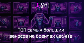ТОП самых крупных заносов на брендах CatAffs