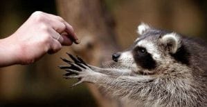 Источники бесплатного трафика