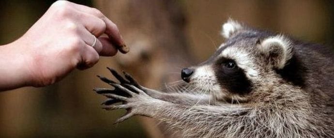 Источники бесплатного трафика