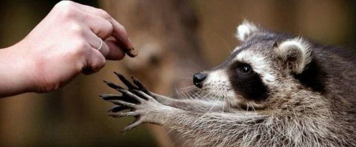 Источники бесплатного трафика