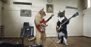 Алло, Гдетрафик ищет таланты!