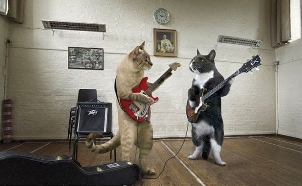 Алло, Гдетрафик ищет таланты!