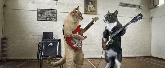 Алло, Гдетрафик ищет таланты!