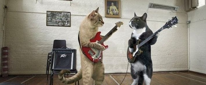 Алло, Гдетрафик ищет таланты!