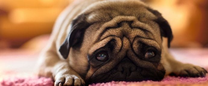 Ошибки, которые мы допускаем