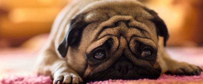 Ошибки, которые мы допускаем