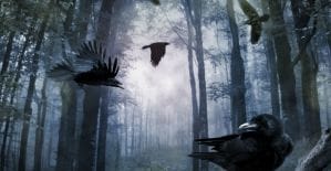 Зачем AdmitAd заставляет писать сочинения и как ActionPay увеличил себе прибыль на 30% читай в дайджесте партнерок №9 (19-25 сентября)