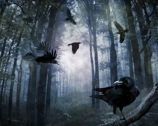 Зачем AdmitAd заставляет писать сочинения и как ActionPay увеличил себе прибыль на 30% читай в дайджесте партнерок №9 (19-25 сентября)