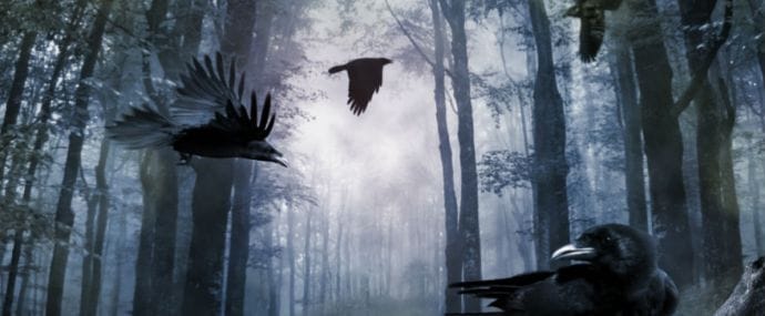 Зачем AdmitAd заставляет писать сочинения и как ActionPay увеличил себе прибыль на 30% читай в дайджесте партнерок №9 (19-25 сентября)