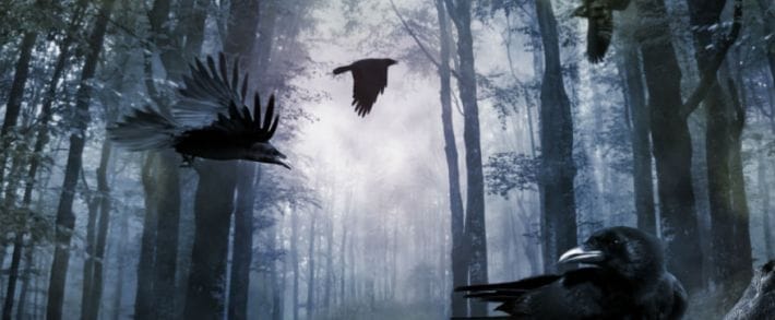 Зачем AdmitAd заставляет писать сочинения и как ActionPay увеличил себе прибыль на 30% читай в дайджесте партнерок №9 (19-25 сентября)