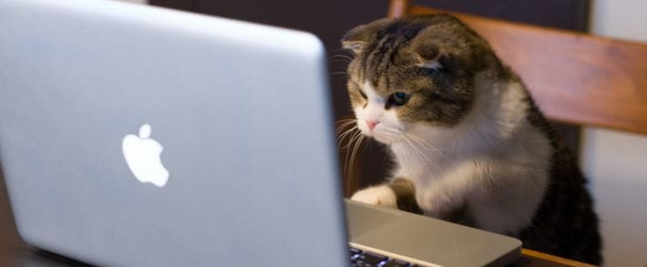 Влияние изменений в Google Ad Rank на ставки и CPC