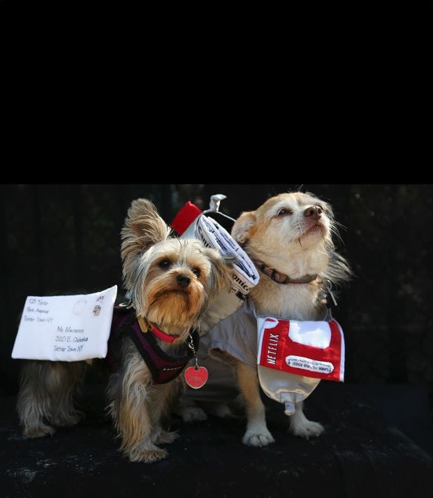 Полезная подборка для работы с Email маркетингом