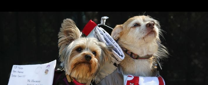 Полезная подборка для работы с Email маркетингом