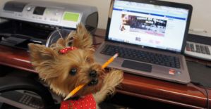 Правильная регистрация аккаунтов под Facebook