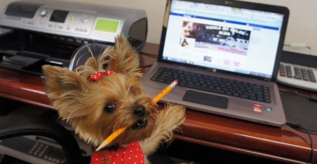 Правильная регистрация аккаунтов под Facebook