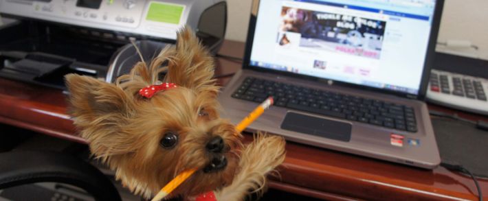 Правильная регистрация аккаунтов под Facebook