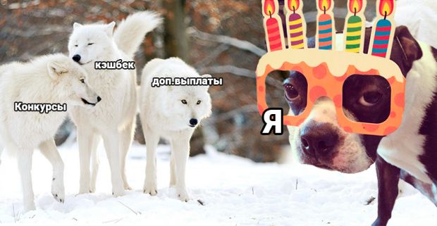 Шквал акций от партнёрок, но SEOnews пофиг, он отмечает день рождения