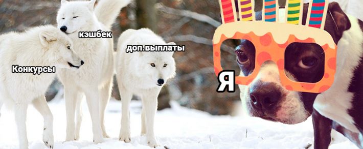 Шквал акций от партнёрок, но SEOnews пофиг, он отмечает день рождения