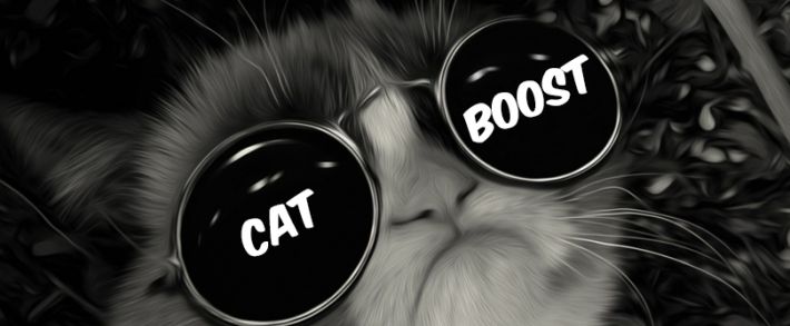 Яндекс снова мутит технологию. Catboost, что это?