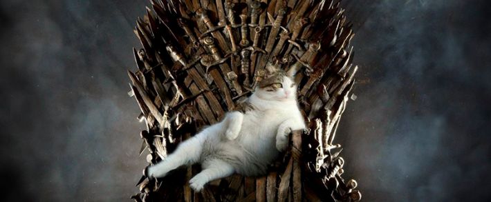 Железный трон и уникальный адалт: чем удивили партнёрки на этой неделе