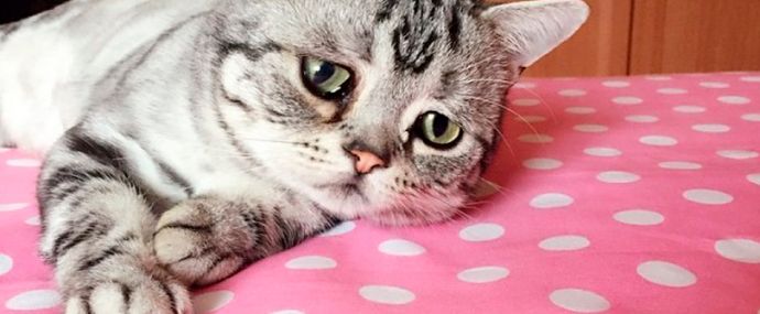 О болях клиентов в наших продающих текстах