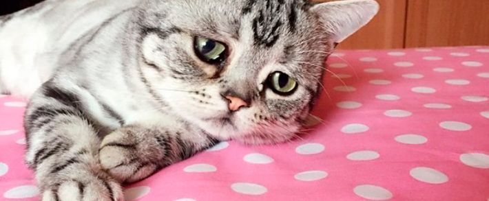 О болях клиентов в наших продающих текстах