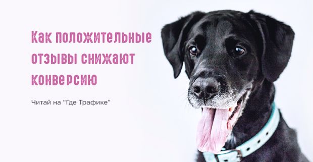 Как положительные отзывы снижают конверсию