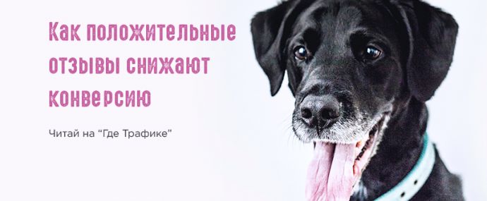 Как положительные отзывы снижают конверсию