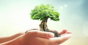 Золотые офферы: 5 самых щедрых офферов CPS